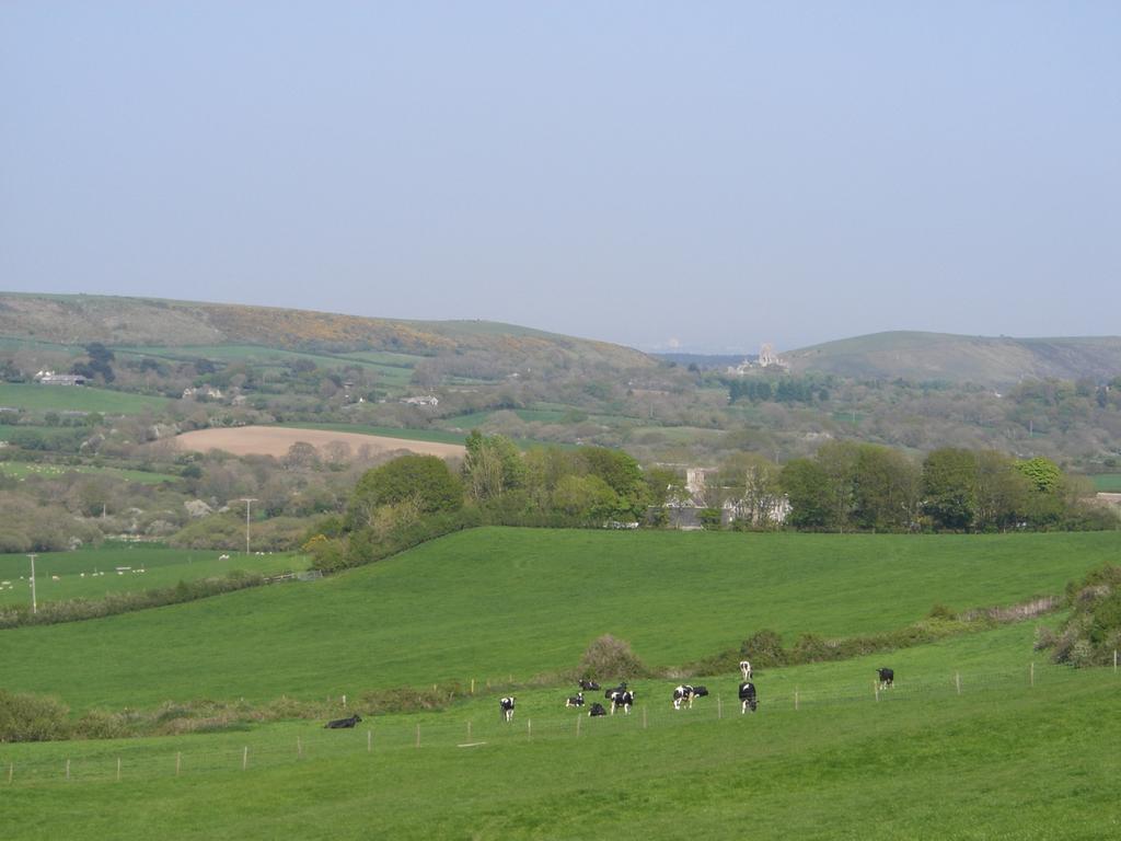Bradle Farmhouse Corfe Castle Eksteriør billede